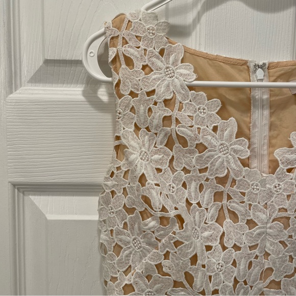 Ann Taylor LOFT Lace Dress - Picture 4 of 12